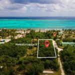 listing image thumbnail with ID 95704