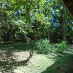 listing image thumbnail with ID 78546