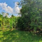 listing image thumbnail with ID 76537