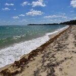 listing image thumbnail with ID 82928