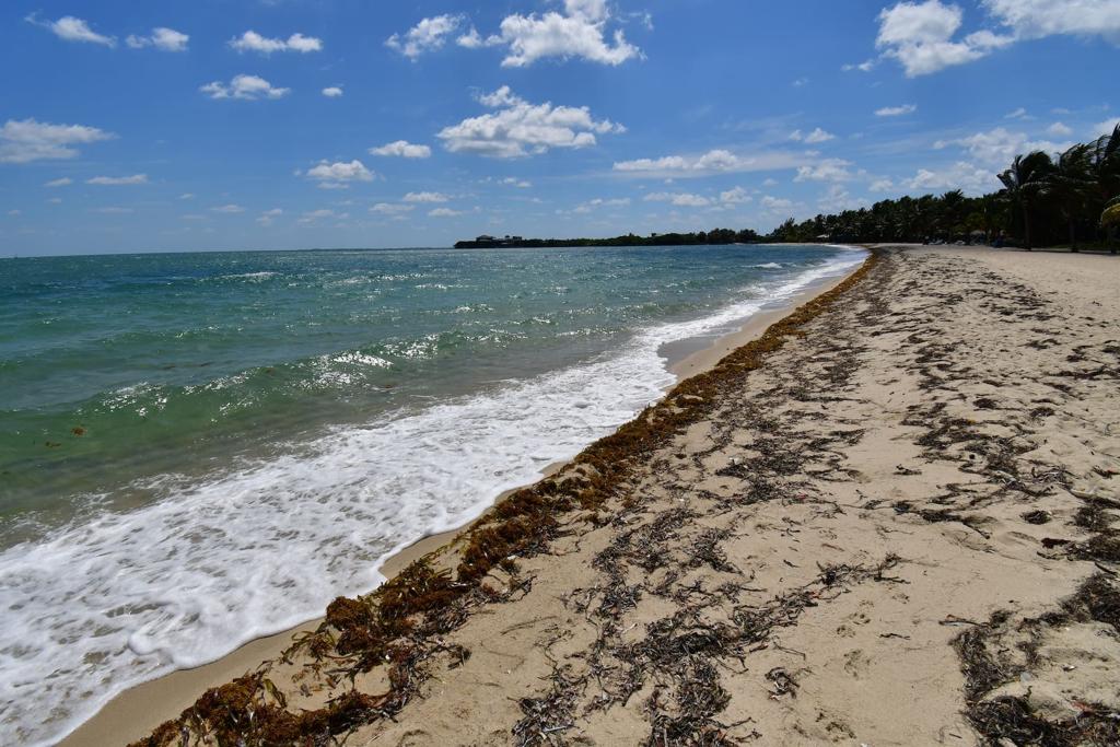 listing image with ID 82928