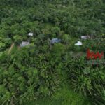 listing image thumbnail with ID 91059