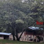 listing image thumbnail with ID 85243