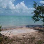 listing image thumbnail with ID 94610