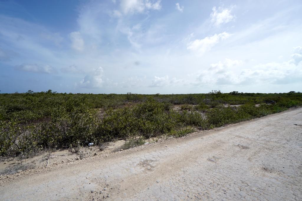 listing image with ID 108555