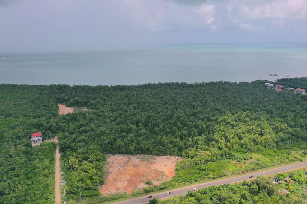 listing image with ID 95758