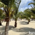 listing image thumbnail with ID 92815