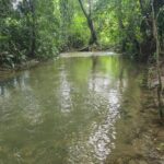 listing image thumbnail with ID 94246