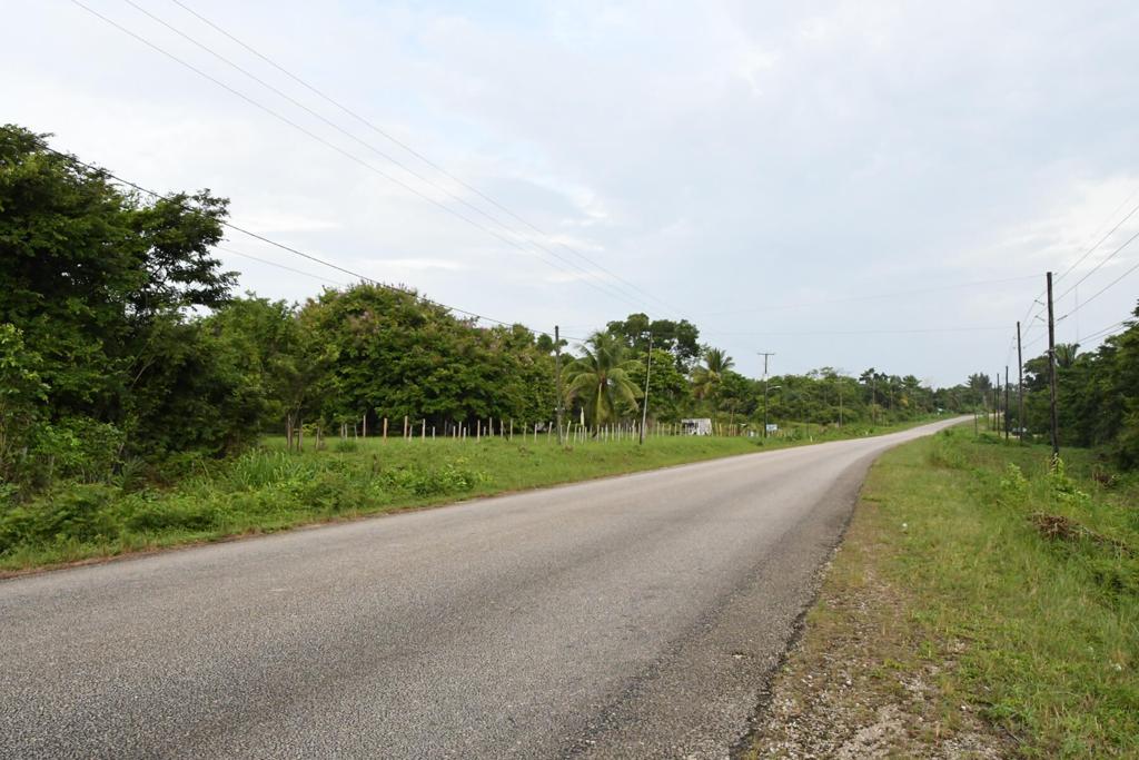 listing image with ID 84243