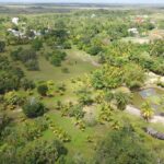 listing image thumbnail with ID 88093