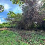 listing image thumbnail with ID 106588