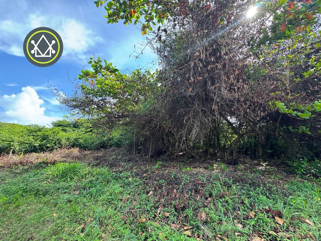 listing image with ID 106588