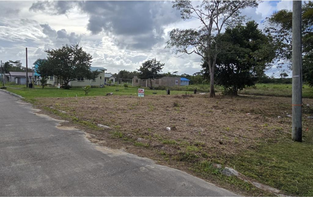 listing image with ID 90815