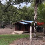 listing image thumbnail with ID 85234