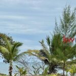 listing image thumbnail with ID 84675