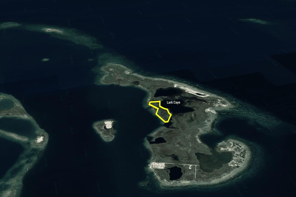 listing image with ID 95985