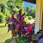 listing image thumbnail with ID 106512