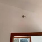 listing image thumbnail with ID 76019