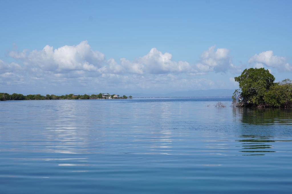 listing image with ID 87093