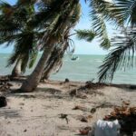 listing image thumbnail with ID 107222