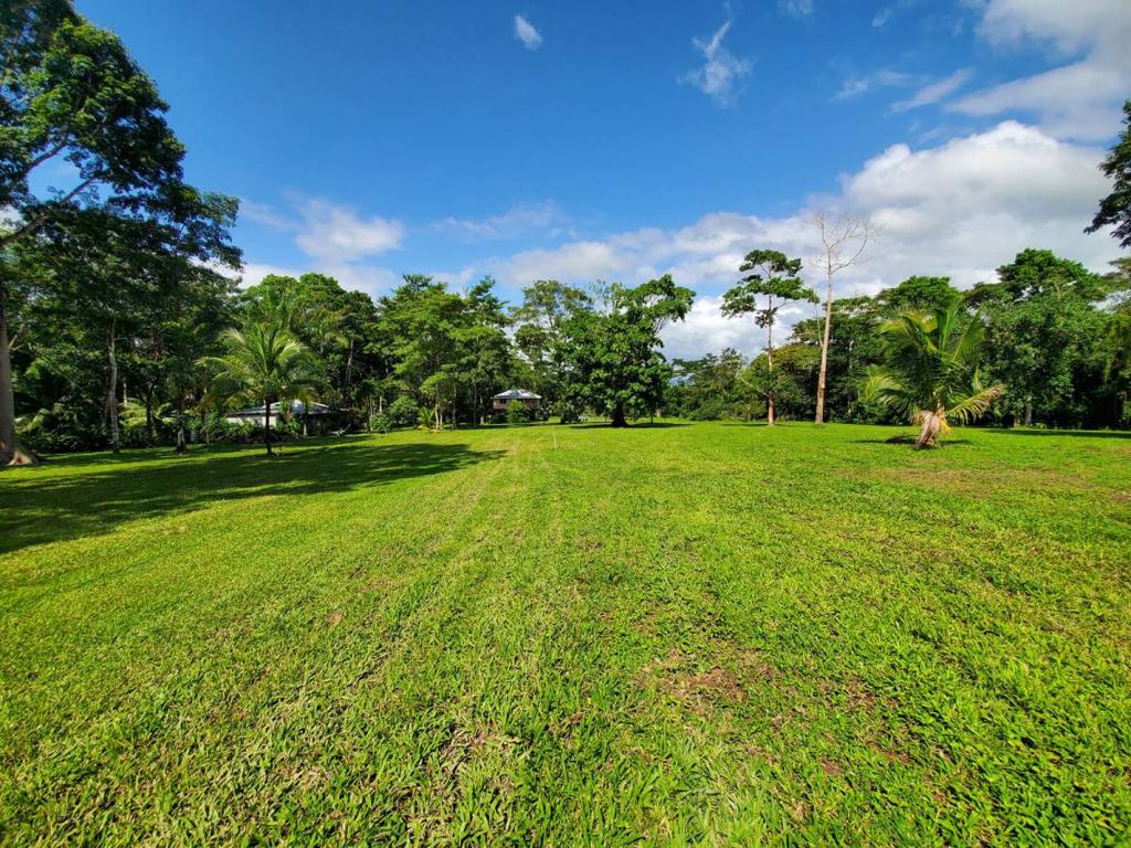 listing image with ID 102590