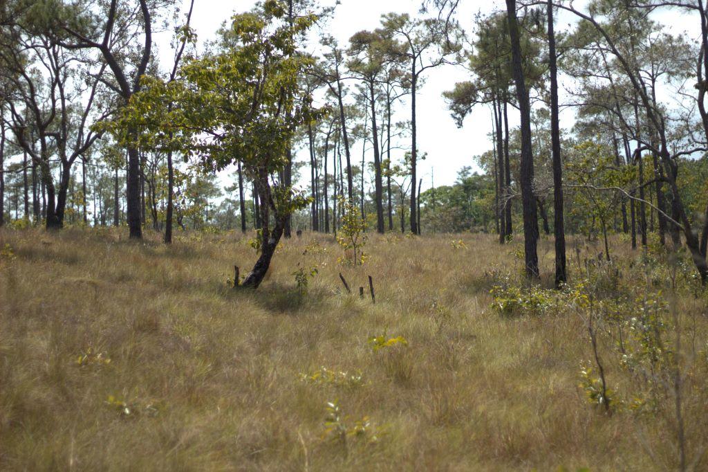 listing image with ID 80337