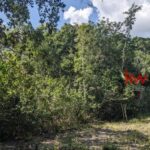 listing image thumbnail with ID 92840