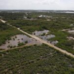 listing image thumbnail with ID 84367