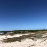 listing image thumbnail with ID 97970