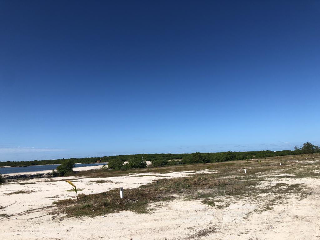 listing image with ID 97970