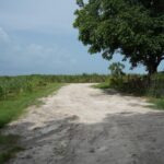 listing image thumbnail with ID 103248