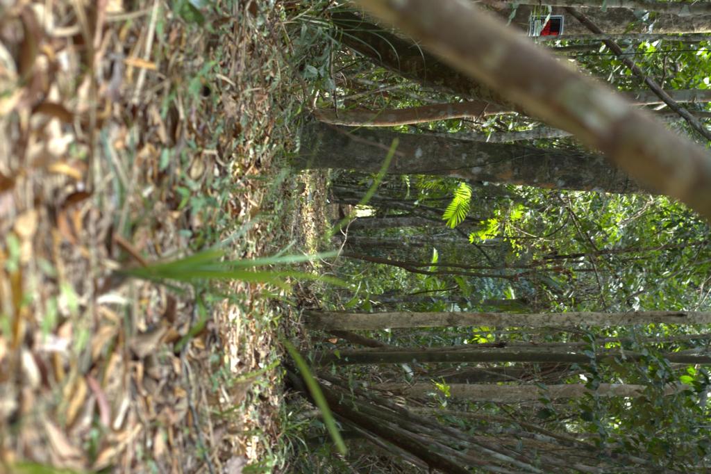 listing image with ID 80339