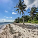 listing image thumbnail with ID 108344