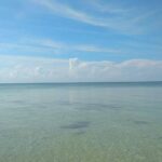 listing image thumbnail with ID 105843