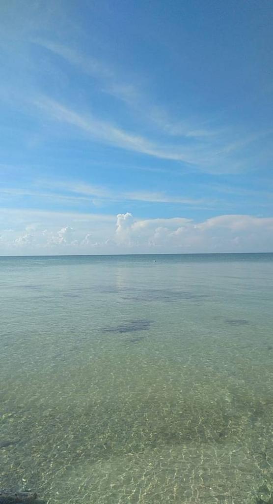 listing image with ID 105843