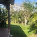 listing image thumbnail with ID 99165