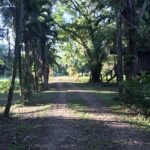 listing image thumbnail with ID 79933