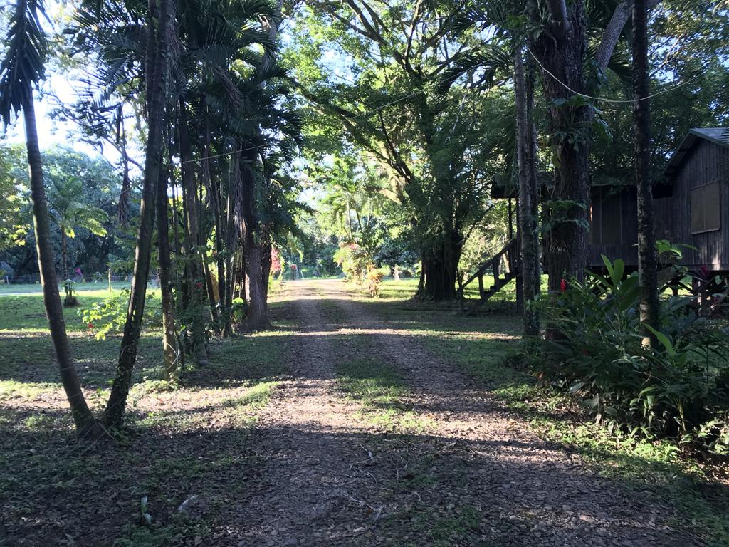 listing image with ID 79933