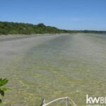 listing image thumbnail with ID 75660