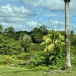 listing image thumbnail with ID 82588
