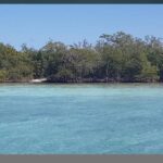 listing image thumbnail with ID 102921