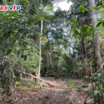 listing image thumbnail with ID 104251