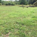 listing image thumbnail with ID 100154