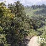 listing image thumbnail with ID 83115