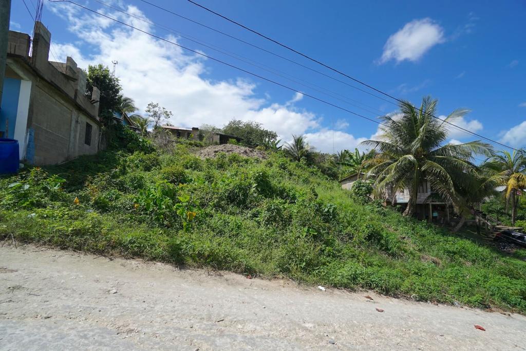 listing image with ID 108163