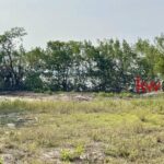 listing image thumbnail with ID 86542