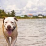 listing image thumbnail with ID 103559
