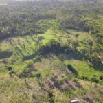 listing image thumbnail with ID 79052
