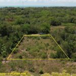 listing image thumbnail with ID 100540