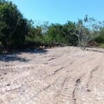 listing image thumbnail with ID 87701